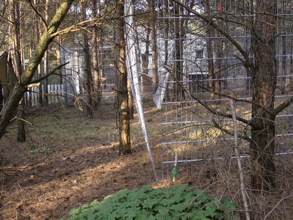 putzaktion 01