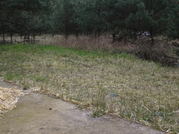 putzaktion 05
