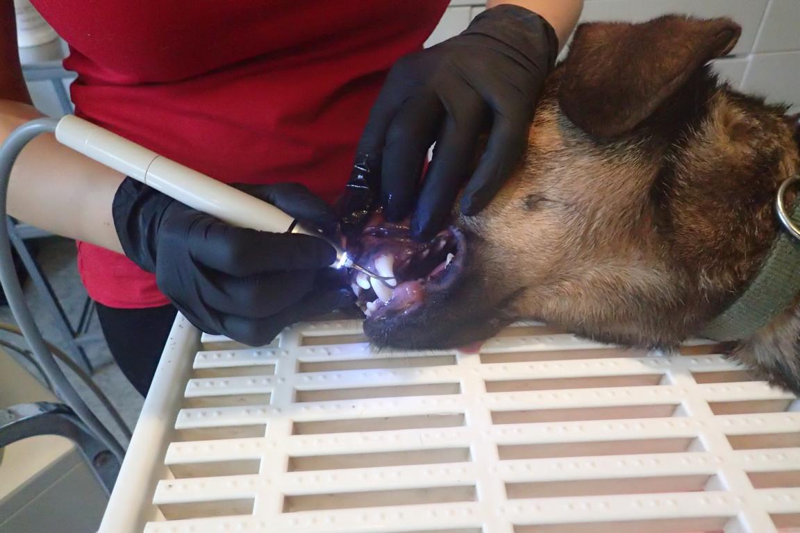 Zahnsanierung