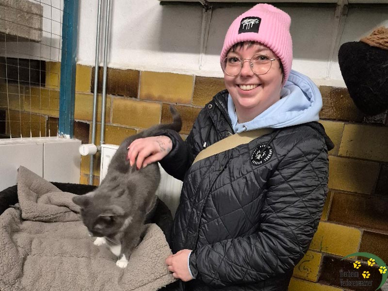 kater spike aus dem tierheim 1