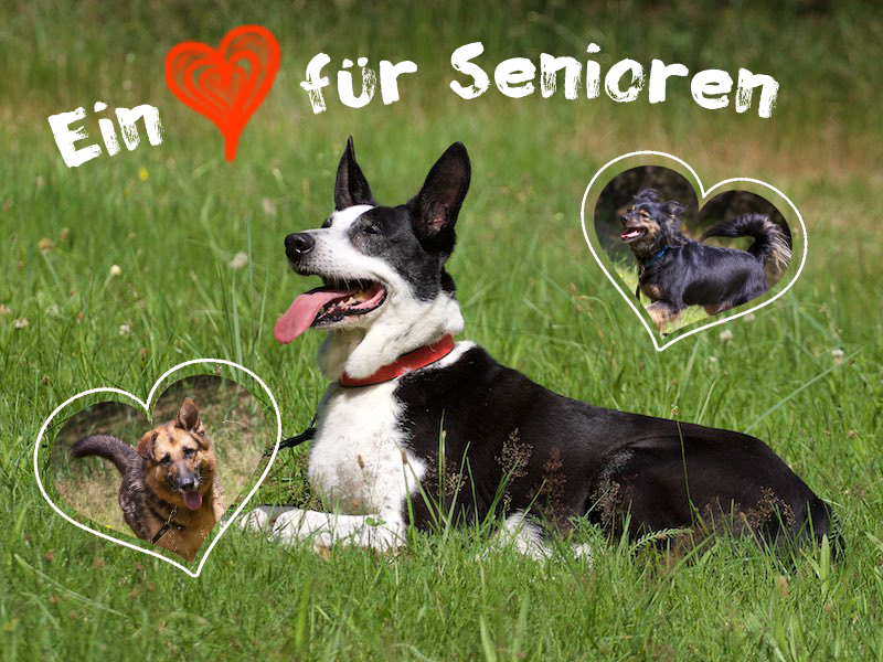 Ein Herz für Senioren