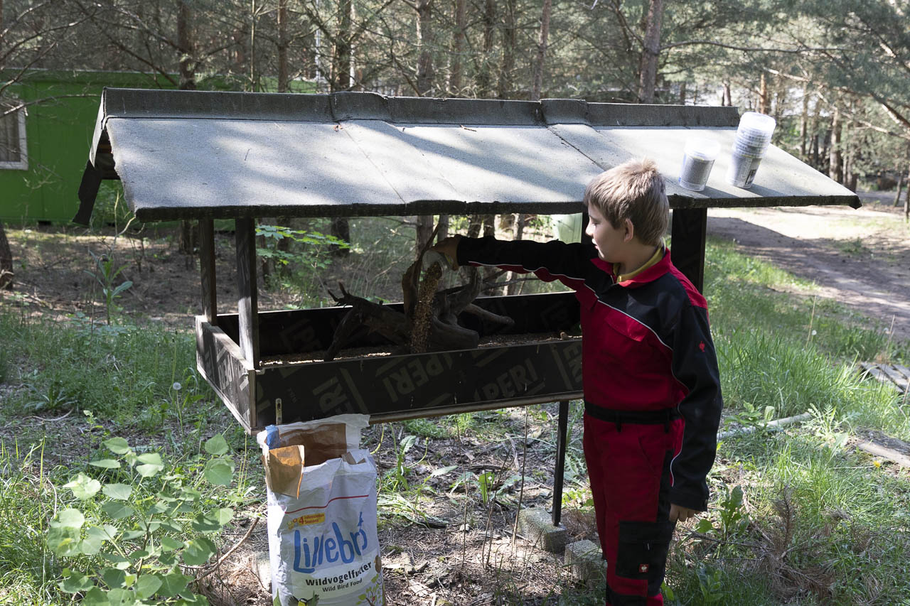 Wildvogelfütterung