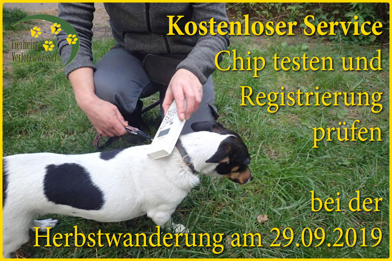 Kostenloser Service: Chip testen und Registrierung prüfen