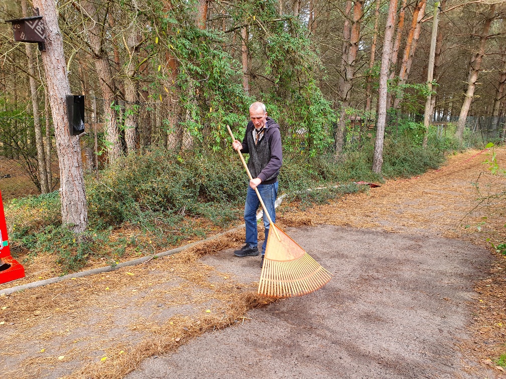Fleißige Hände mit Wachhund.