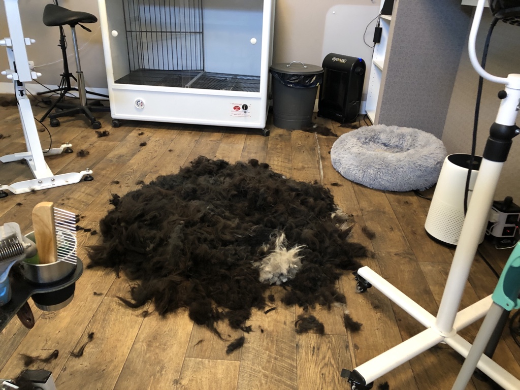 Nacktfotos der Wuschels