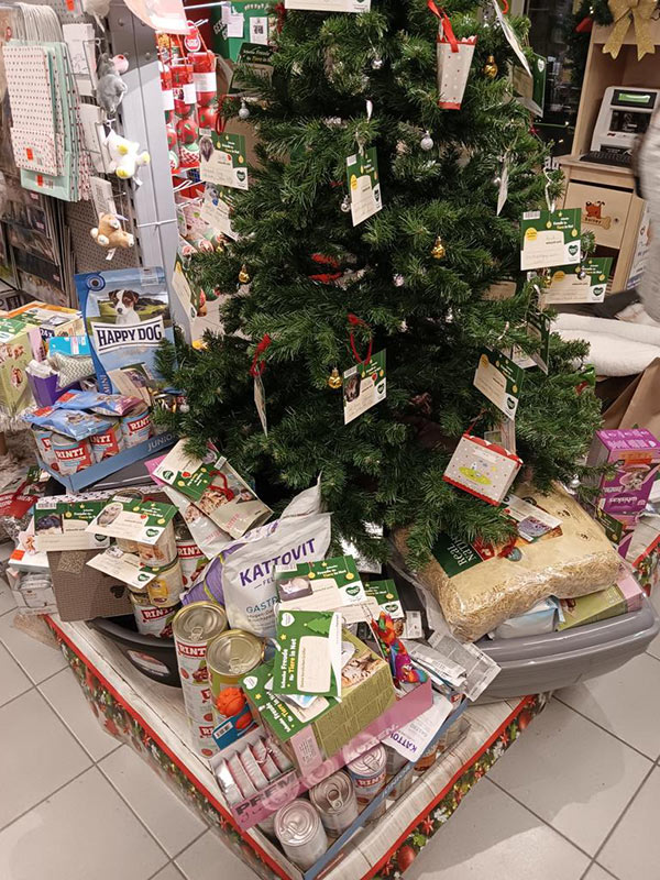 spenden tierheim brandenburg 8