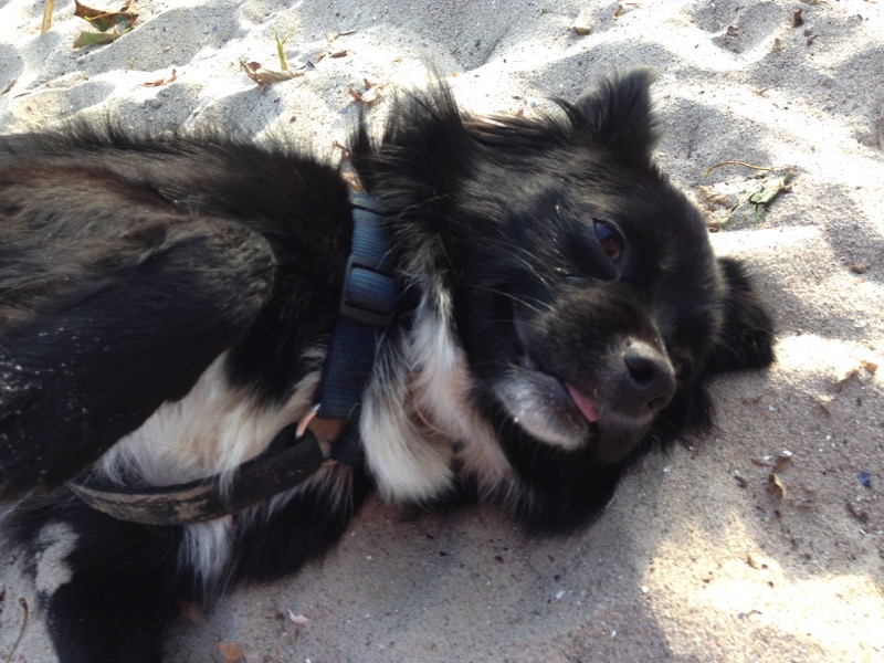 20160922 151102863 iOS