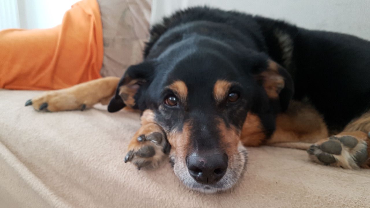 Basti, Bini und Lilly