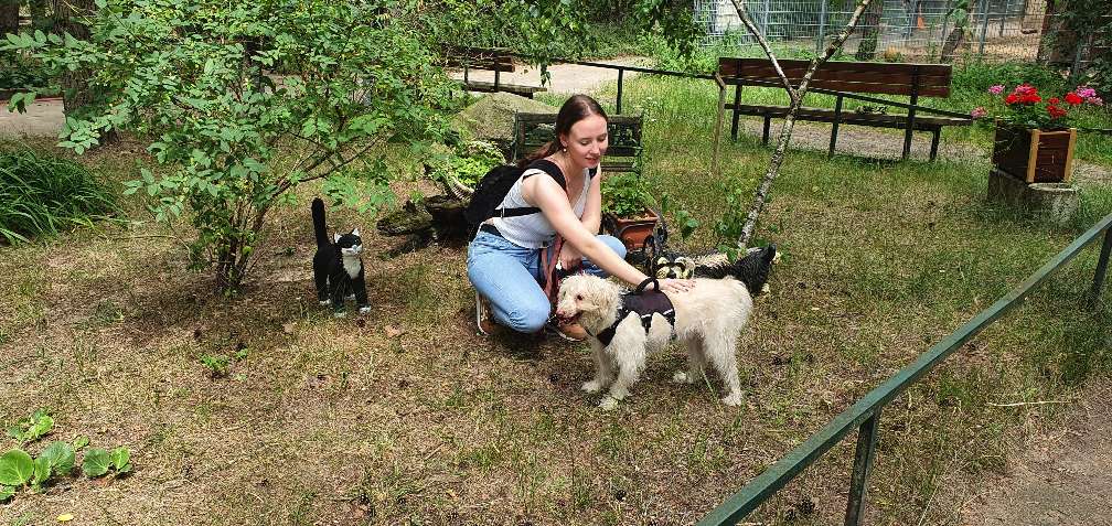 Tierheim Verlorenwasser Barney war zu Besuch