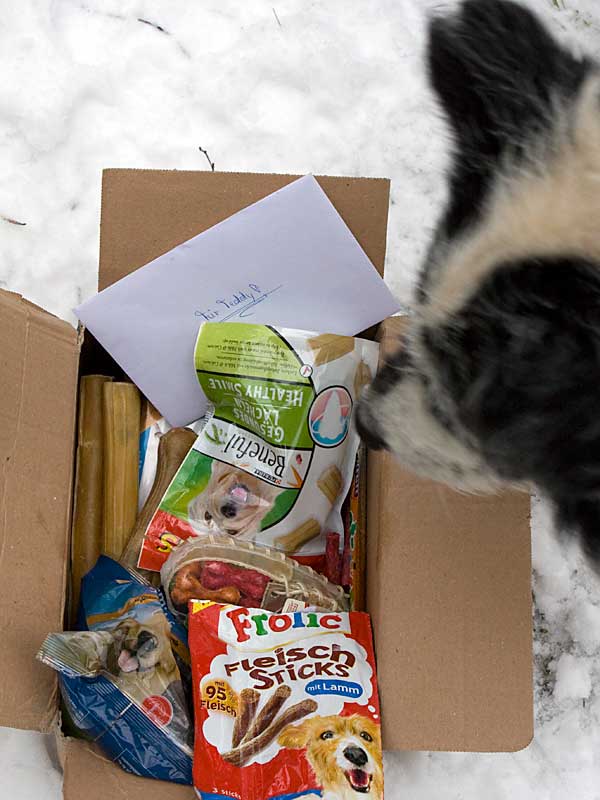 Teddy hat ein Päckchen bekommen